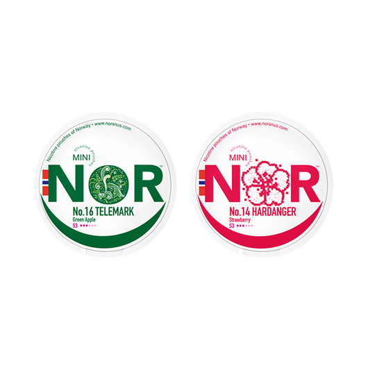 12mg NOR Mini Nicotine Pouches - 20 Pouches - Vape Center