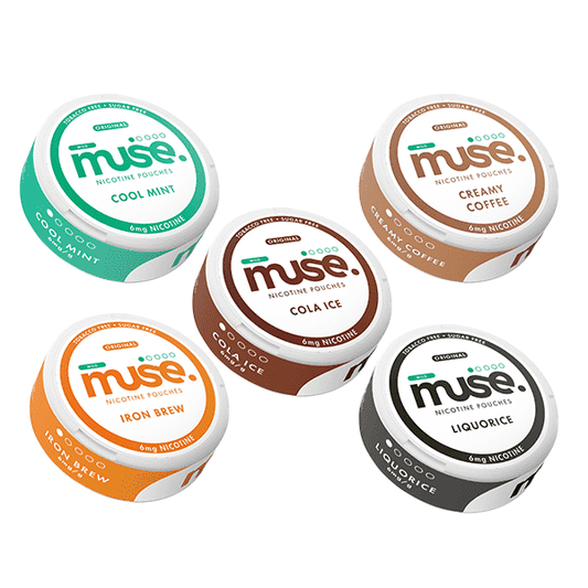 6mg Muse Original Nicotine Pouches - 20 Pouches - Vape Center