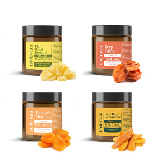 Nootrocan 375mg Full Spectrum CBD Nootropic Dried Fruits - 150g - Vape Center